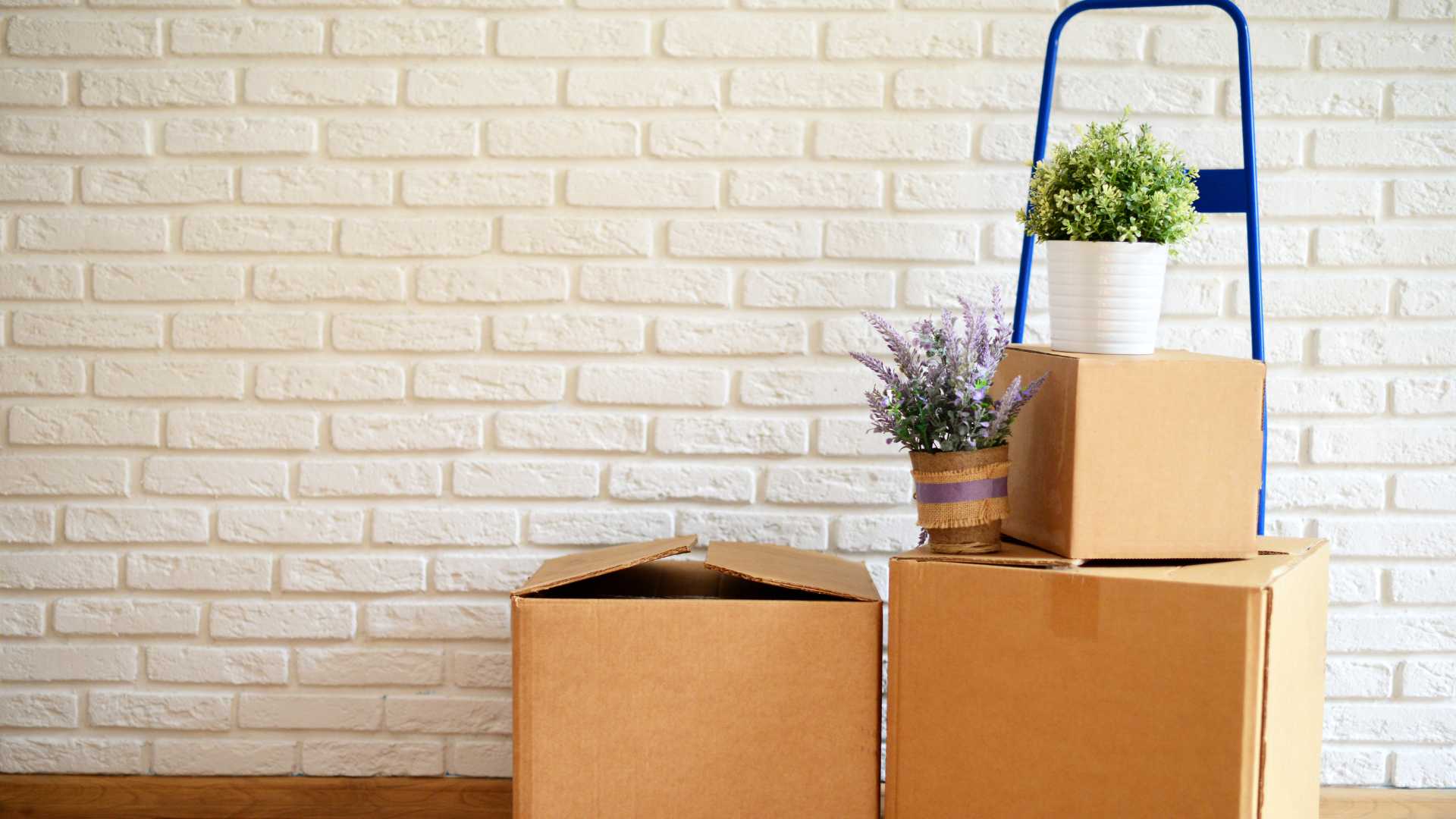 removalist service specializing in garden moves melbourne